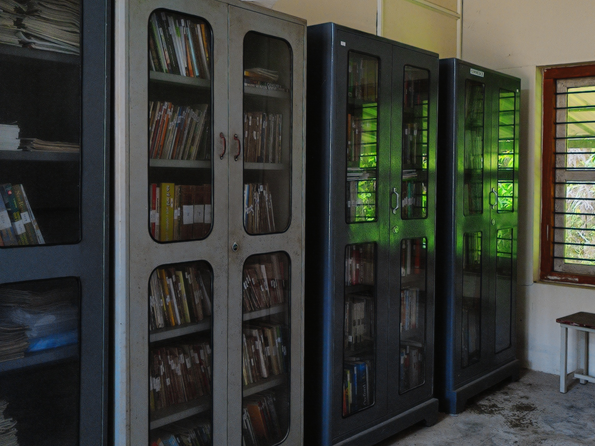 three shelves in the college library, filled with books